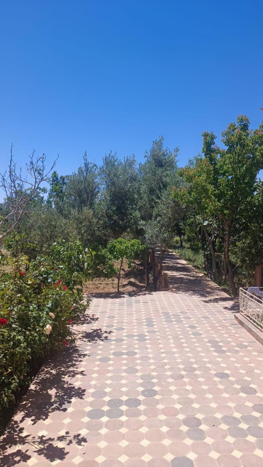 Chez L'Habitant Amazigh ワルザザート エクステリア 写真
